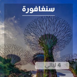 برنامج سنغافورة